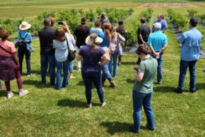 Participants at a Fruits of the Backyard Field Day event